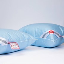 каригуз средняя3