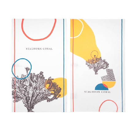 1 Modern Coral