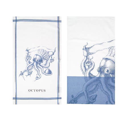 1 octopus