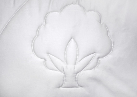 bio_cotton_1